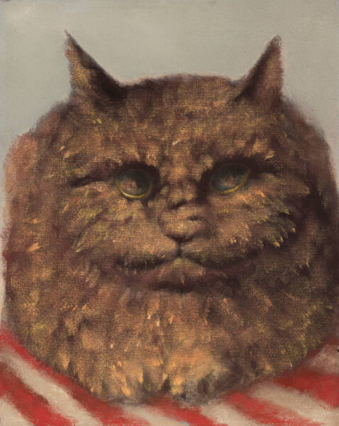 untitled [cat]