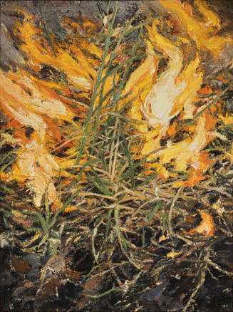 untitled [Grass Fire series]