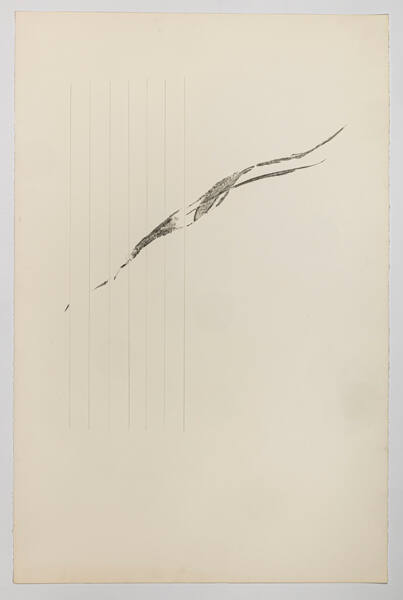 Harp