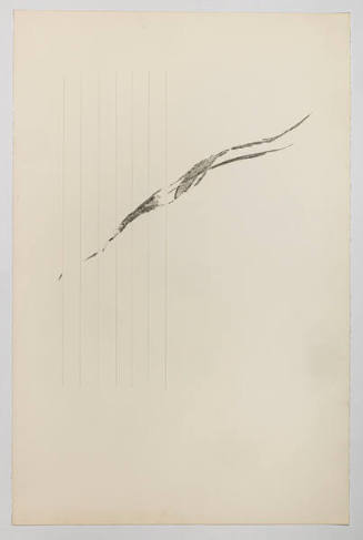 Harp