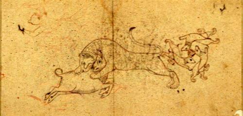 Animal studies