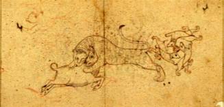 Animal studies