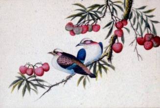 China trade painting of a pair of birds on a lychee branch