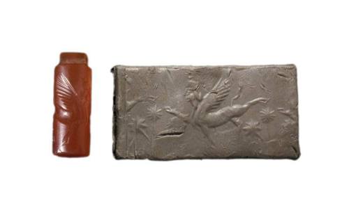 Cylinder Seal