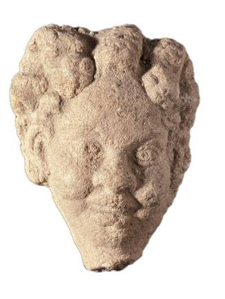Head of Nubian