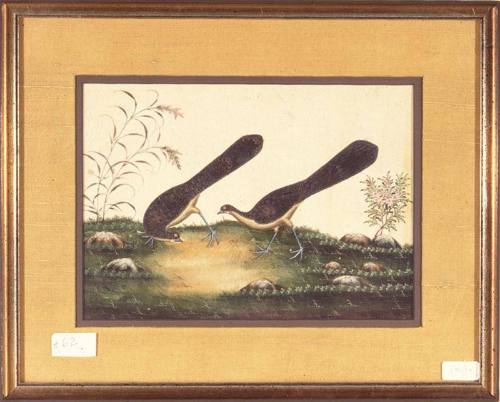 China trade painting of a pair of peacock-phesants with flowering plants