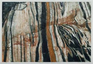 Parallel Striations: Precambrian Shield