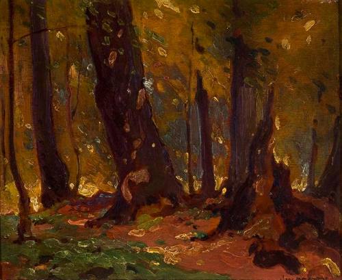 Forest in Autumn