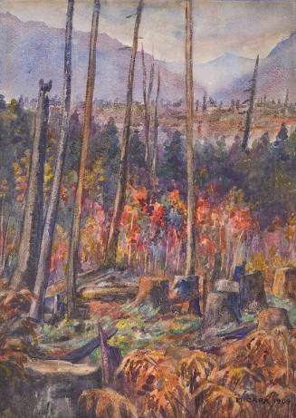Forest in Vancouver