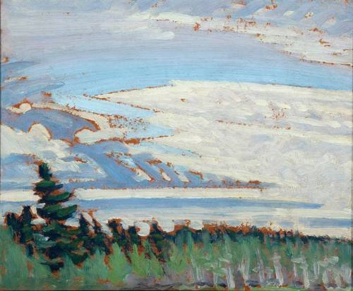 Morning and New Tamaracks