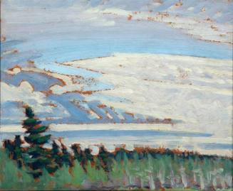 Morning and New Tamaracks