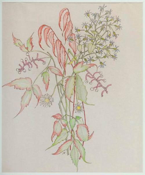 Autumn Flowers