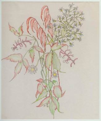 Autumn Flowers