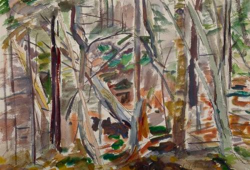 Forest