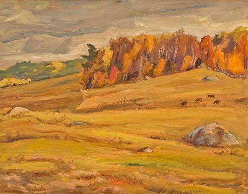Pastures Combermere Ontario