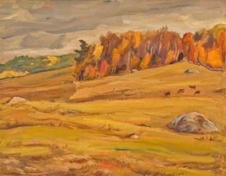 Pastures Combermere Ontario