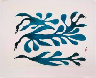 Birds from the Sea