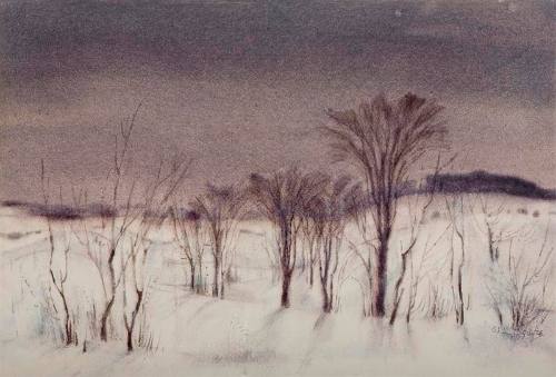 Evening Light (Albion)