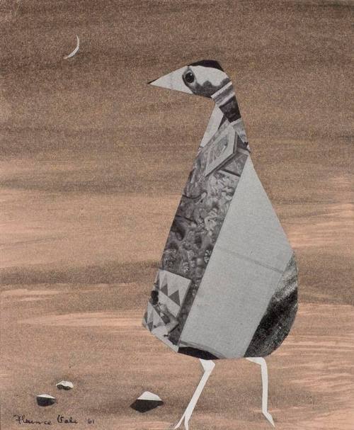 Pregnant Bird