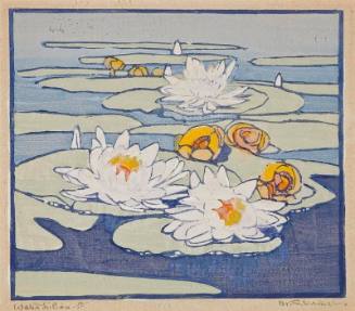 Water Lilies