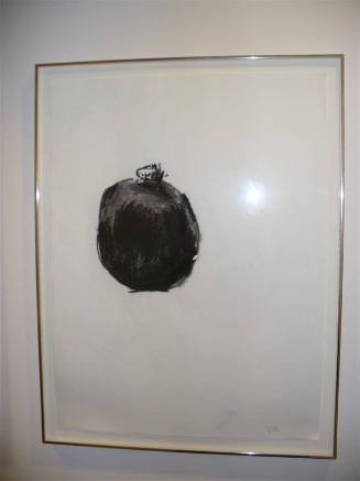 Untitled (Pomegranate Series)