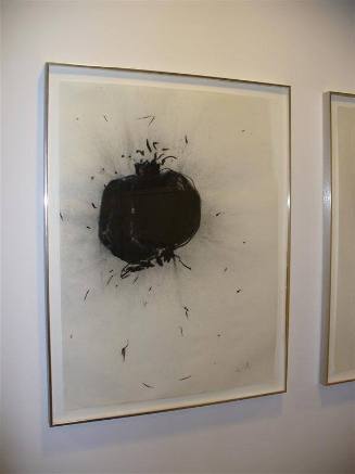Untitled (Pomegranate Series)