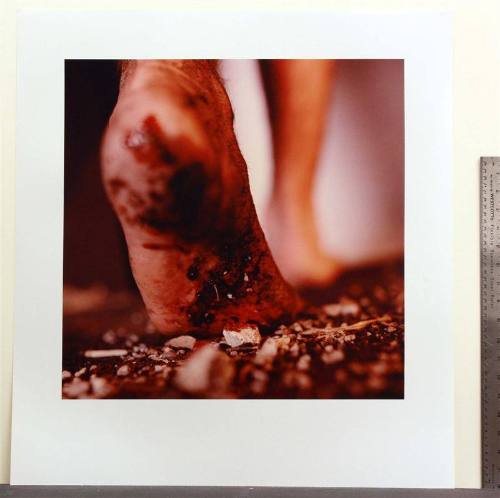 untitled [The Fallen Body series]