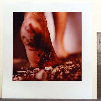 untitled [The Fallen Body series]