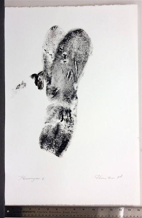 Paronym, Series II, I