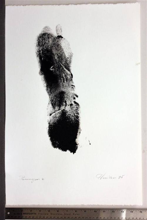 Paronym, Series II, II