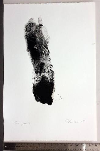 Paronym, Series II, II