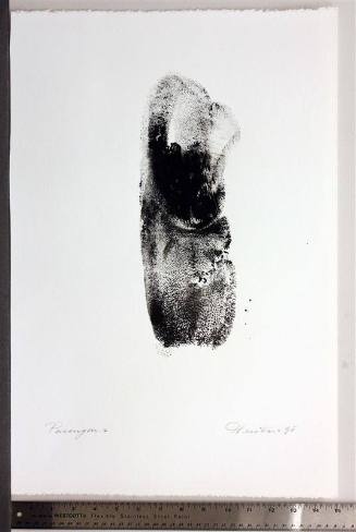 Paronym, Series II, III