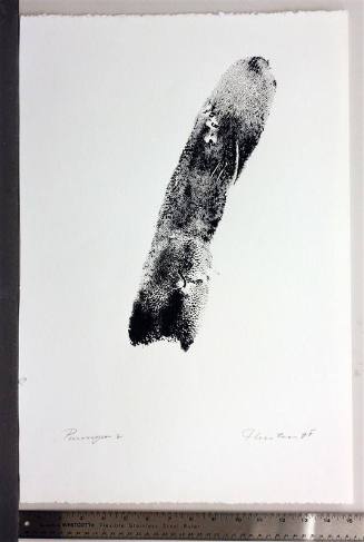 Paronym, Series II, IV