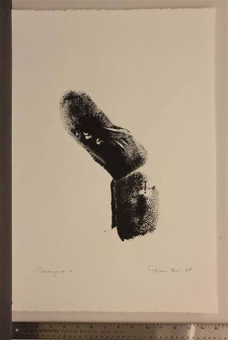 Paronym, Series II, V