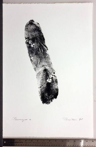 Paronym, Series II, VI