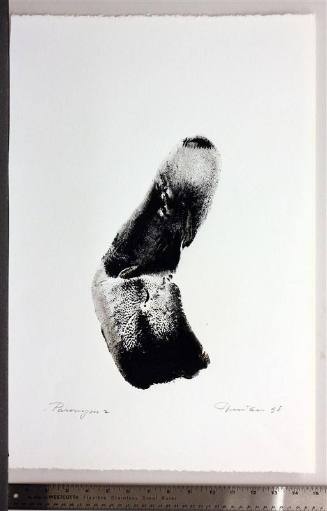 Paronym, Series II, VII
