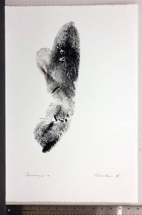 Paronym, Series II, IX