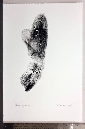 Paronym, Series II, IX