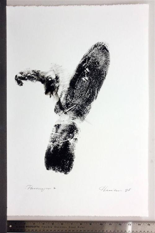 Paronym, Series II, X