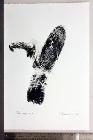 Paronym, Series II, X