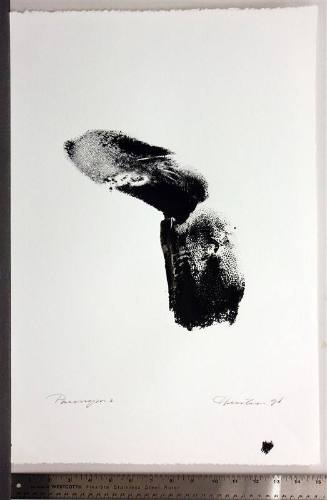 Paronym, Series II, XIII