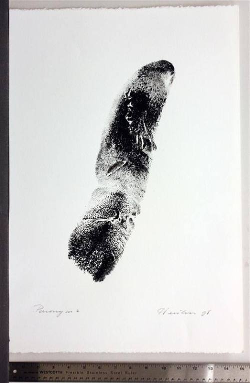 Paronym, Series II, XIV