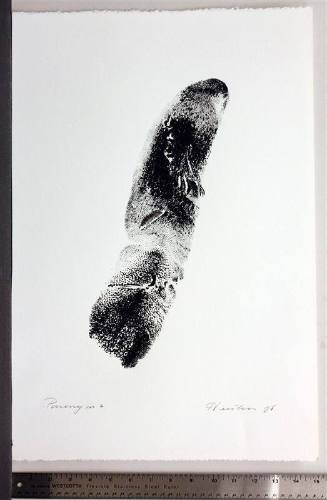 Paronym, Series II, XIV