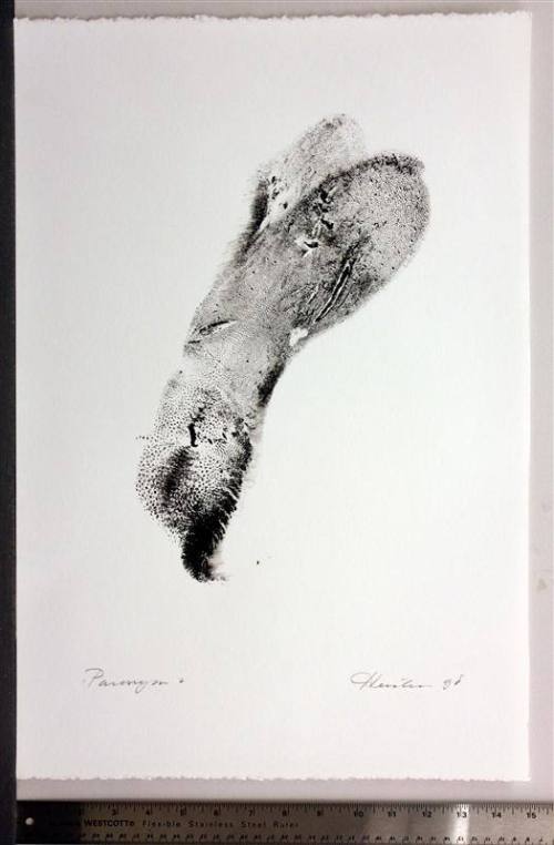 Paronym, Series II, XV