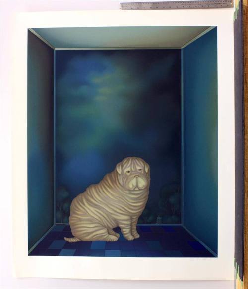 Shar Pei