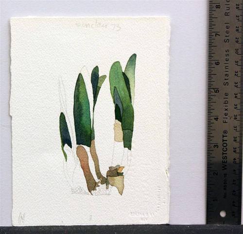 untitled [plant shoots]