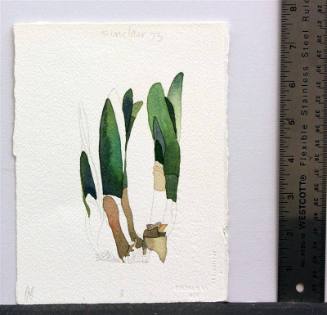 untitled [plant shoots]