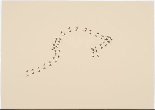 Red Bird Paparazzi Footprints