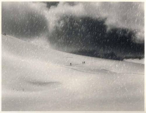 Liz Magor