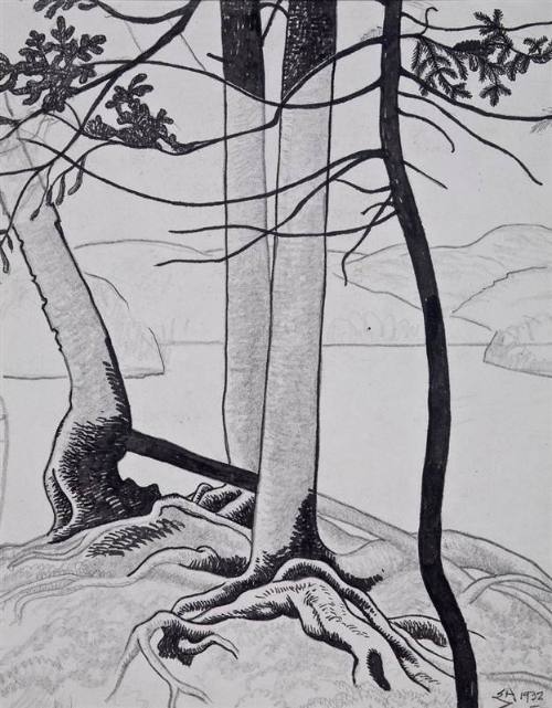 untitled [Algonquin Park landscape]